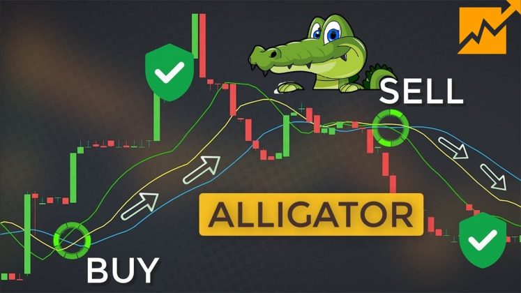 Using the alligator indicator