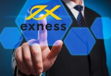 Which Type Of Exness Account Is Best For Beginners?